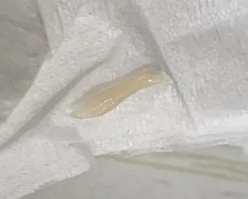猫咪肛门爬出白色虫子 猫咪肛门爬出白色虫子