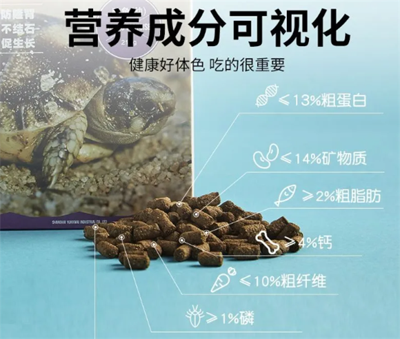 龟的食物与长寿的关系 龟的食物与长寿的关系