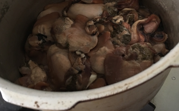 高压锅炖河蚌的做法