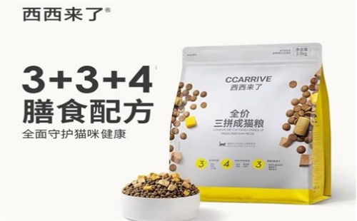 西西来了