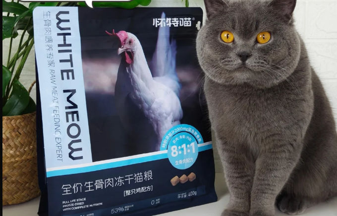 怀特喵|猫咪纯冻干喂养，长肉真的猛！