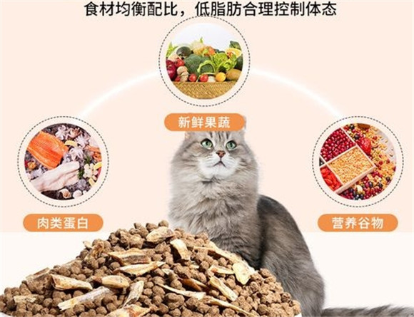 狼迈猫粮怎么样？给你讲讲~