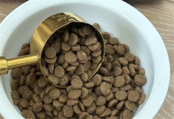 蒂利瑞猫粮测评