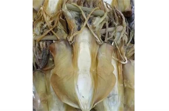 墨鱼骨怎样食用