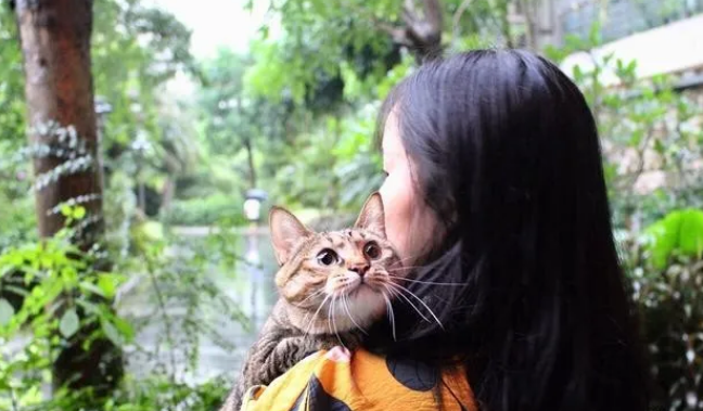 “狸花猫”有这9个表现,说明已经认你为主了! “狸花猫”有这9个表现,说明已经认你为主了!