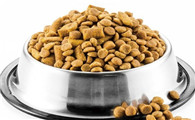 猫粮含有哪些成分一定不要买