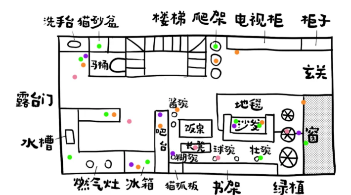 为什么家里的猫咪会打架？如何让它们和谐相处？