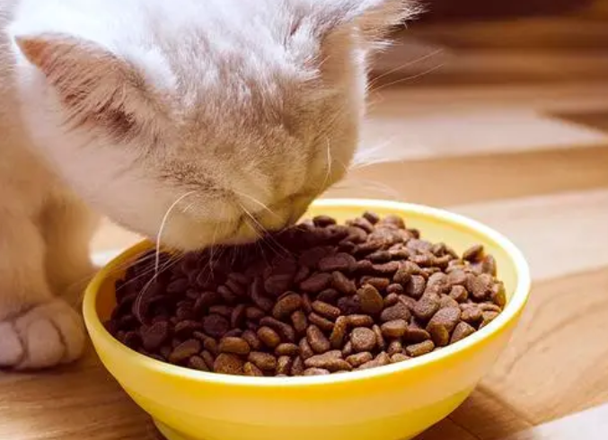 蒂利瑞猫粮厂家地址