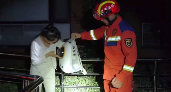 猫咪被困屋顶,主人报警求助 猫咪被困屋顶,主人报警求助