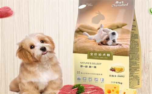 趣味多