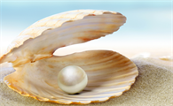 怎样养珍珠蚌