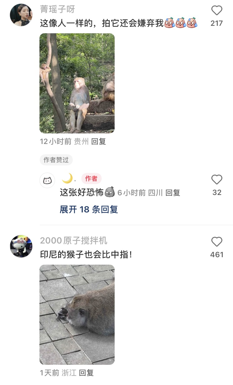 成都动物园“最没礼貌的猴”引发热议