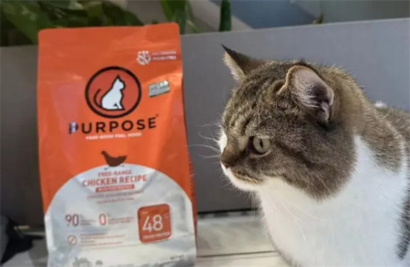 璞斯猫粮适合折耳猫吃吗? 璞斯猫粮适合折耳猫吃吗?