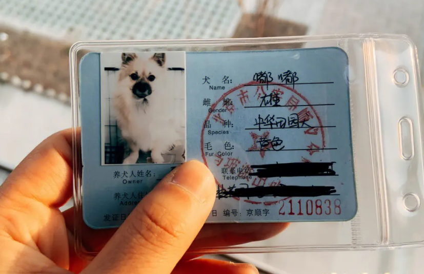 北京狗证不同区的都可以生效吗