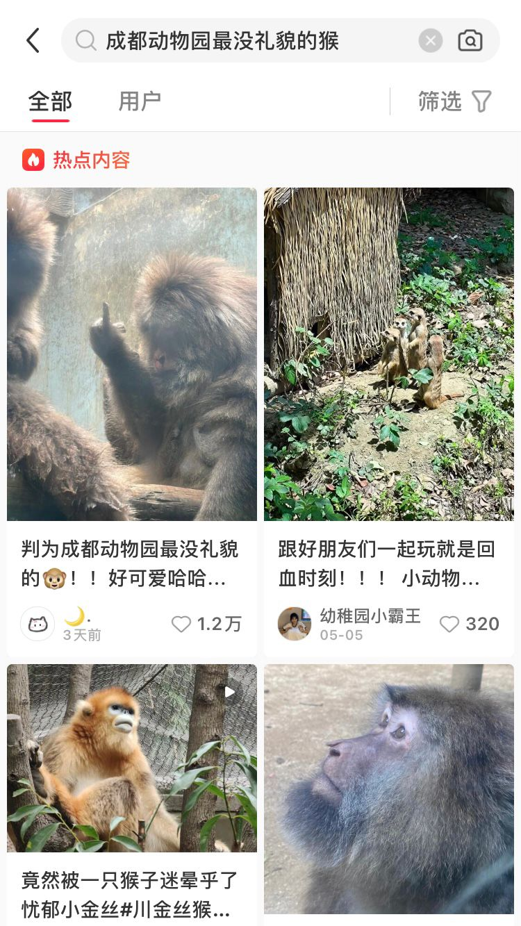 成都动物园“最没礼貌的猴”引发热议