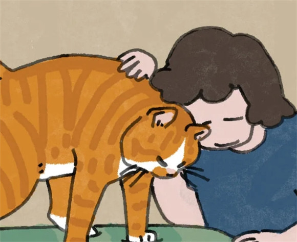 小猫咪你今年几岁?不同年龄阶段养护方式大不同! 小猫咪你今年几岁?不同年龄阶段养护方式大不同!