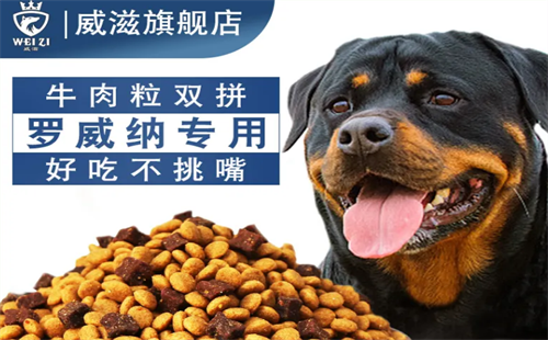 威滋