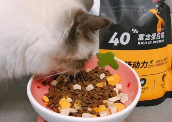 宠咚咚，一个性价比超高的猫粮品牌