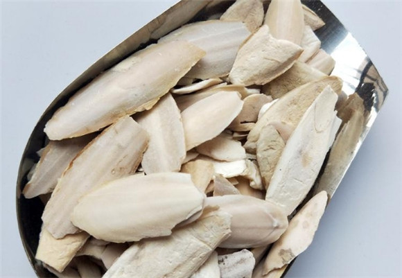 什么是墨鱼骨