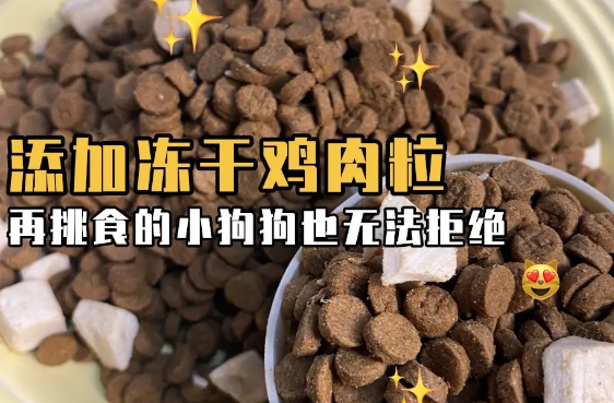 好吃哭了！星速狗粮这款性价比狗粮真的可！