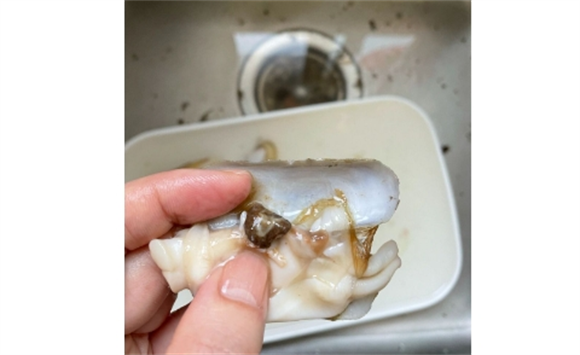 小河蚌怎样清理内脏