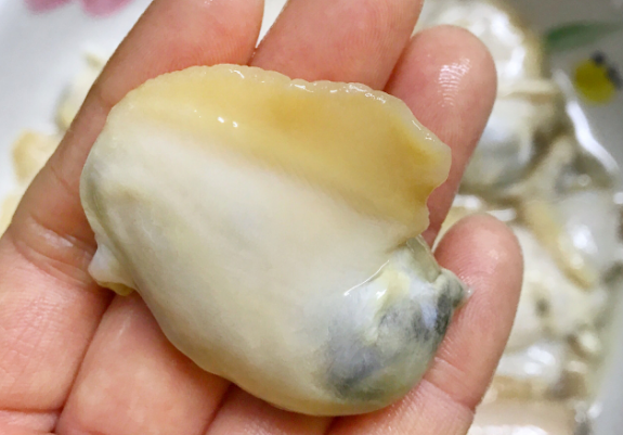 怀孕能吃河蚌肉吗