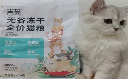 吉芙