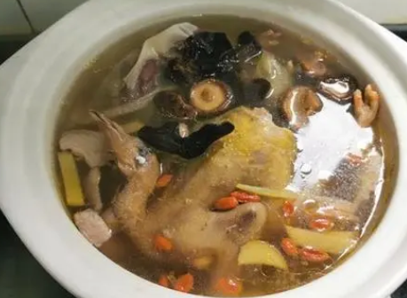 鸽子炖田七的功效