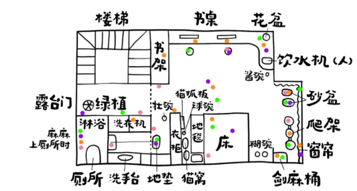 为什么家里的猫咪会打架？如何让它们和谐相处？