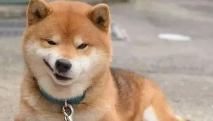 黑水鬼什么厂做