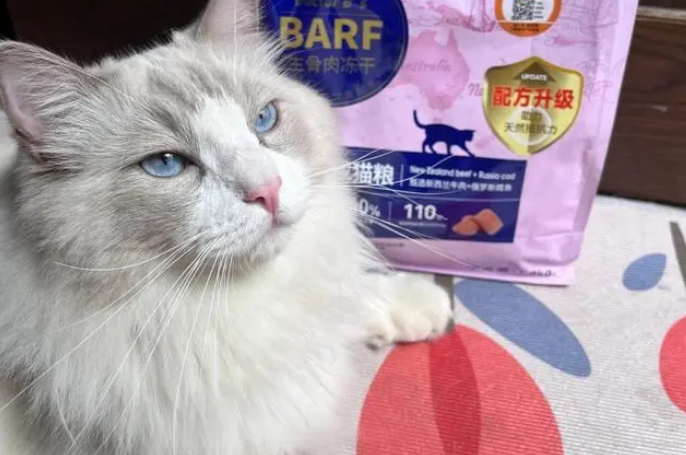 猫可以吃薯片吗