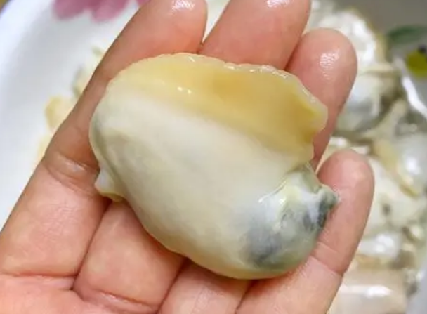 河蚌有什么用