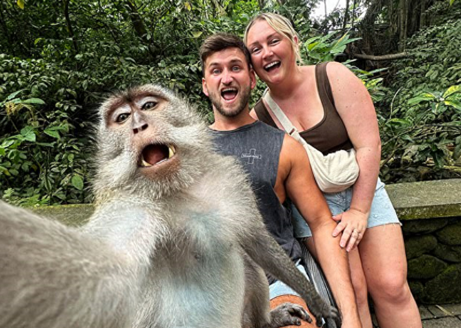 巴厘岛猴子偷拍，游客夫妻为焦点，引发动物版权争议