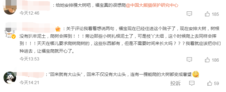 福宝想爬树却未能遂愿，惹得网友心疼不已