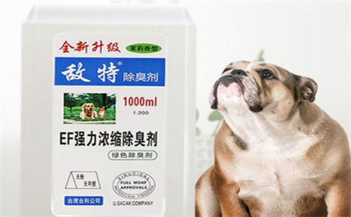 敌特