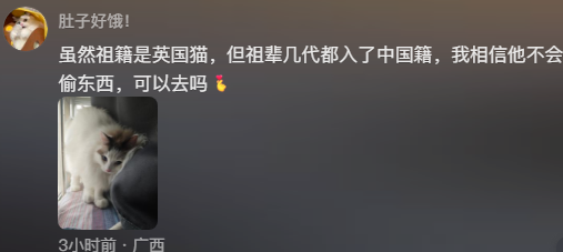 难以置信，古埃及文明大展能带猫参观！