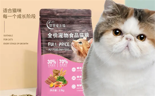 豆芽爱上猫