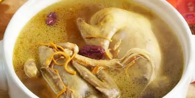 鸽子炖橄榄的功效