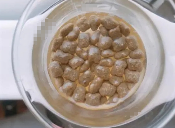 猫粮泡软把水倒掉吗