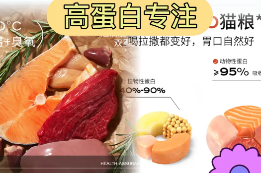 生骨肉品牌怀特喵的由来