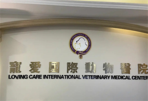 宠爱国际安全吗 宠爱国际安全吗