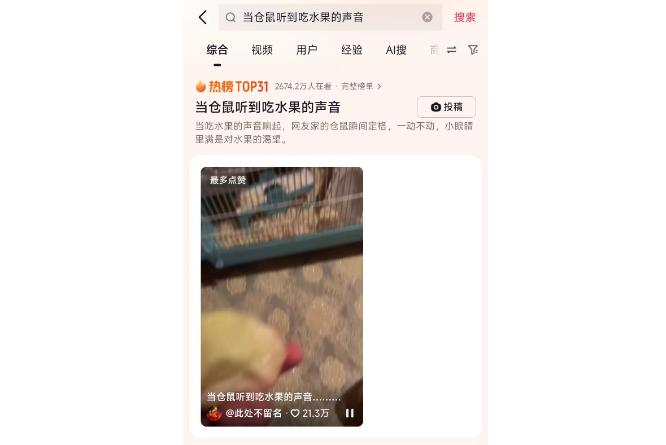 萌态引关注：当仓鼠听到吃水果的声音，瞬间定格渴望眼神