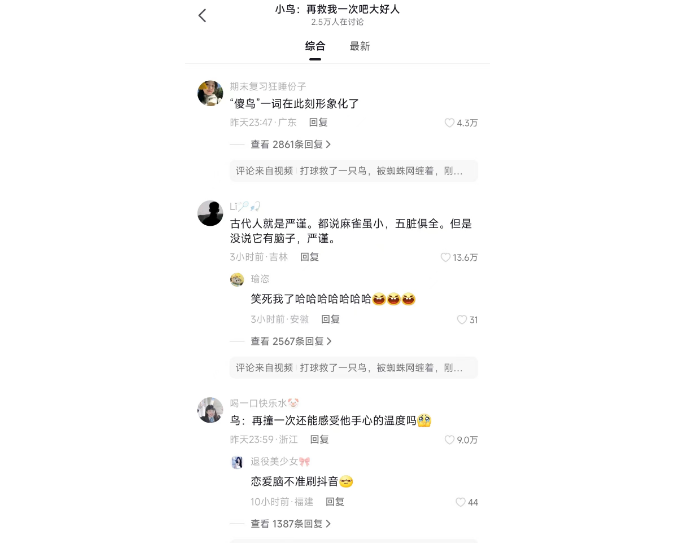 小鸟：再救我一次吧大好人