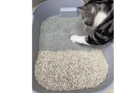 换猫砂要把旧的全部倒掉吗