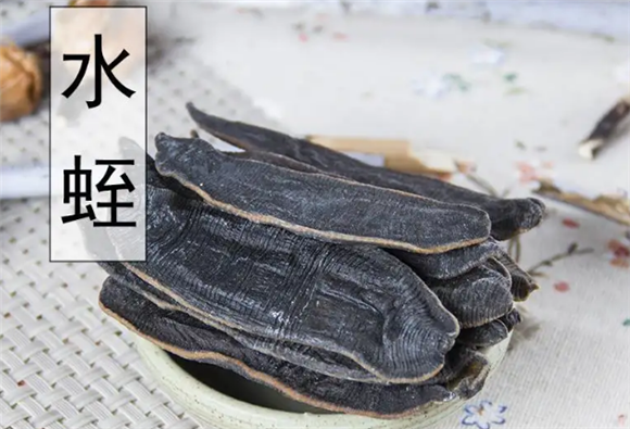 烫水蛭是什么药