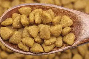 慕培狗粮怎么样？一文替你解答！