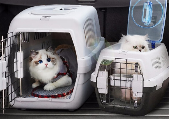 得意猫宠物航空箱：这样选，就能选到优质航空箱