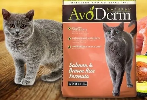 Avoderm猫粮推荐，性价比最高的一款猫粮