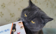 猫多久驱一次虫