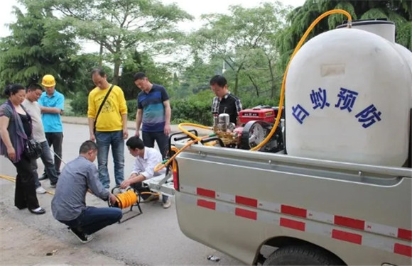 白蚁防治是什么服务